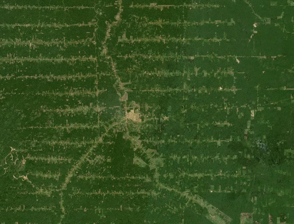 Rondônia, Amazon in 1985, Landsat satellite view
