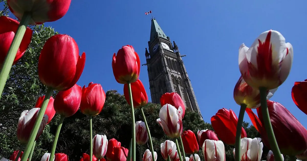 Parliament Hill buildings in Ottawa behind spring tulips