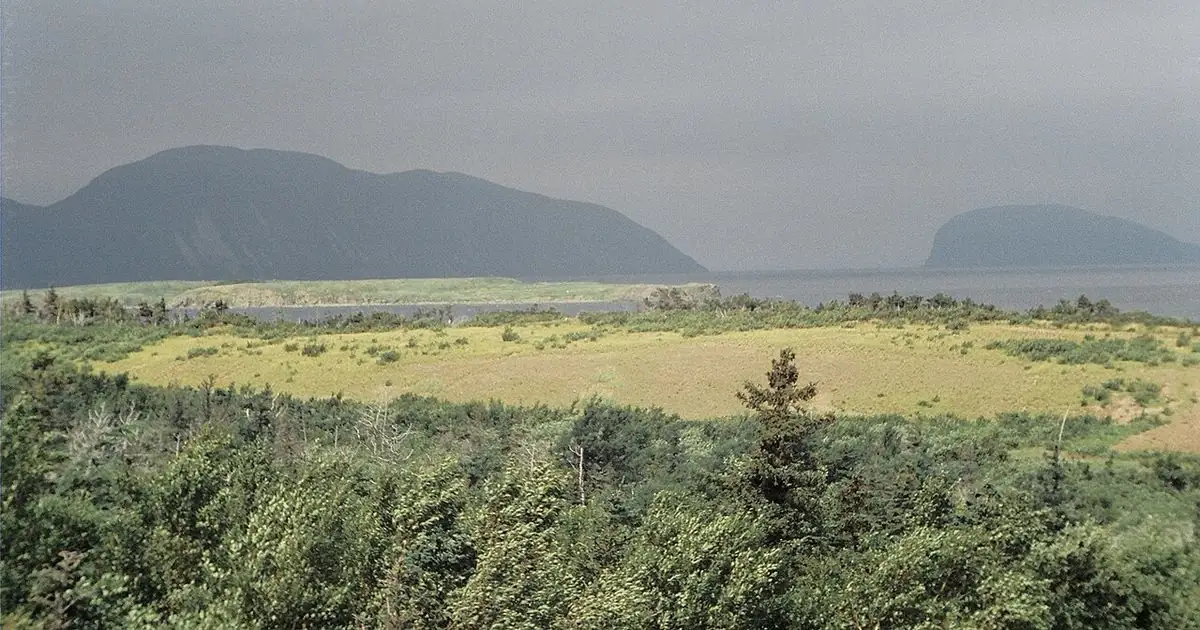 Green forested hills and sea along the coast of western Newfoundland