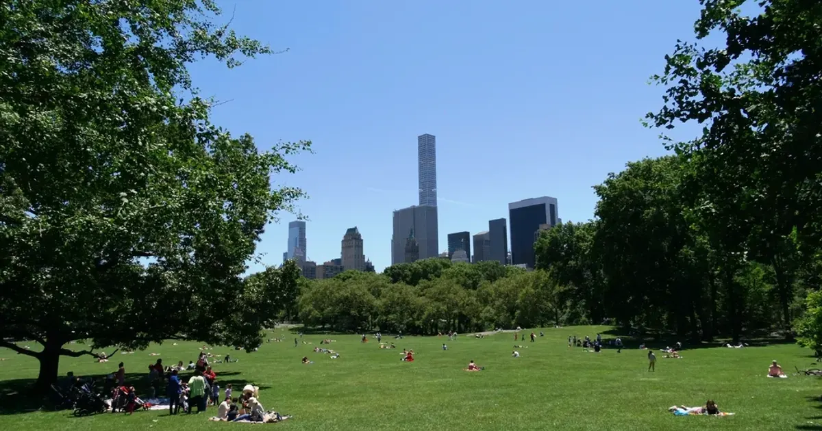 Green lawns and trees in Central Park New York in summer