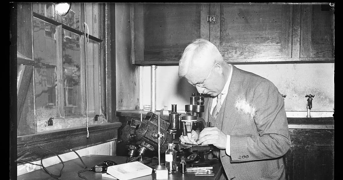 A researcher looking through a microscope at a laboratory bench, in a vintage black-and-white photo