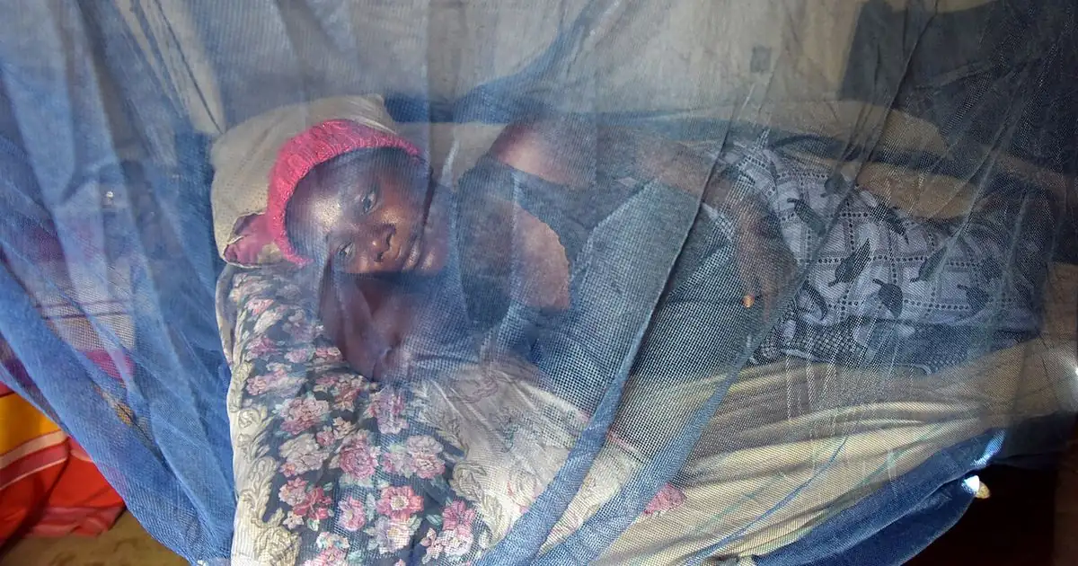 People resting under an insecticide-treated mosquito net in Mwanza, Tanzania