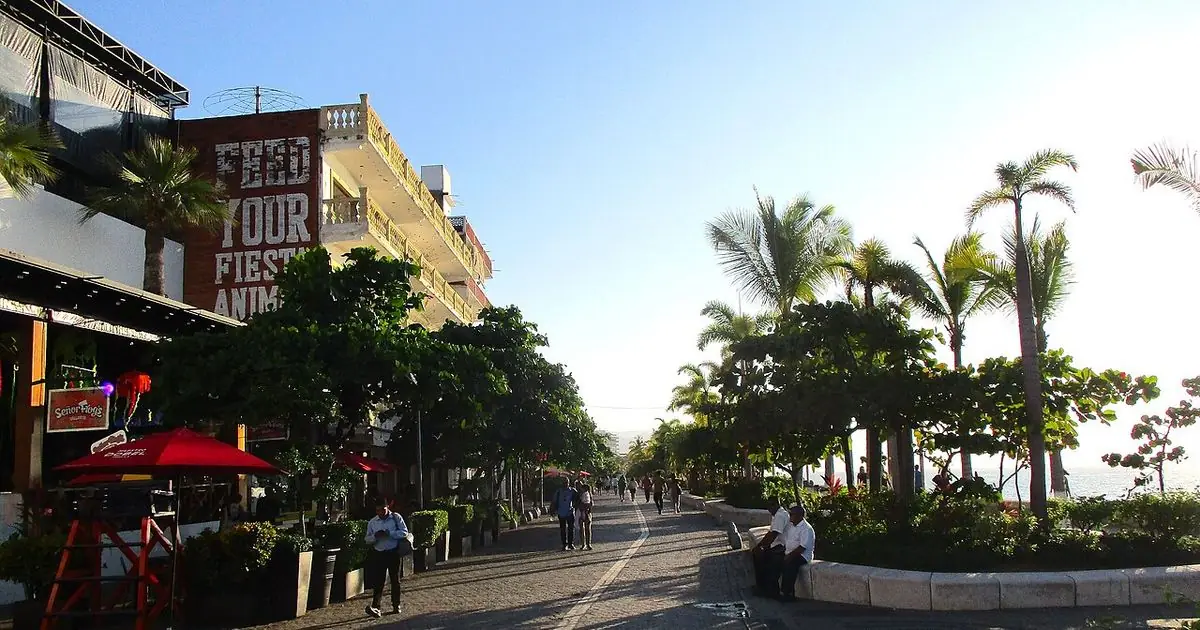Palm-lined street in Puerto Vallarta in the evening light