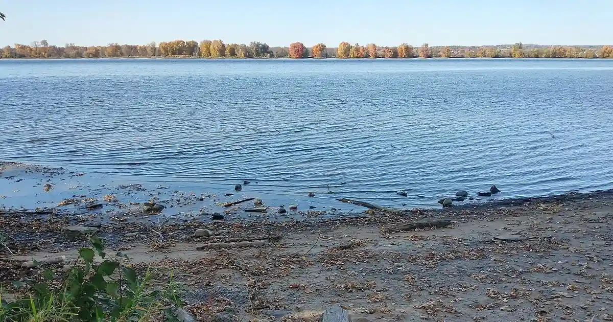 Wide view of the Ottawa River with trees along the shore