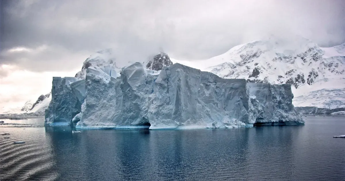A large white iceberg floating in cold blue Antarctic water