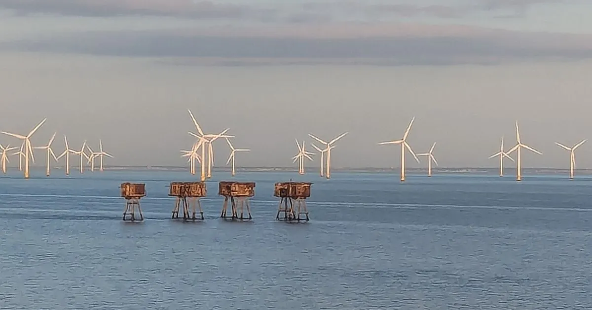 Rows of offshore wind turbines standing in calm sea water