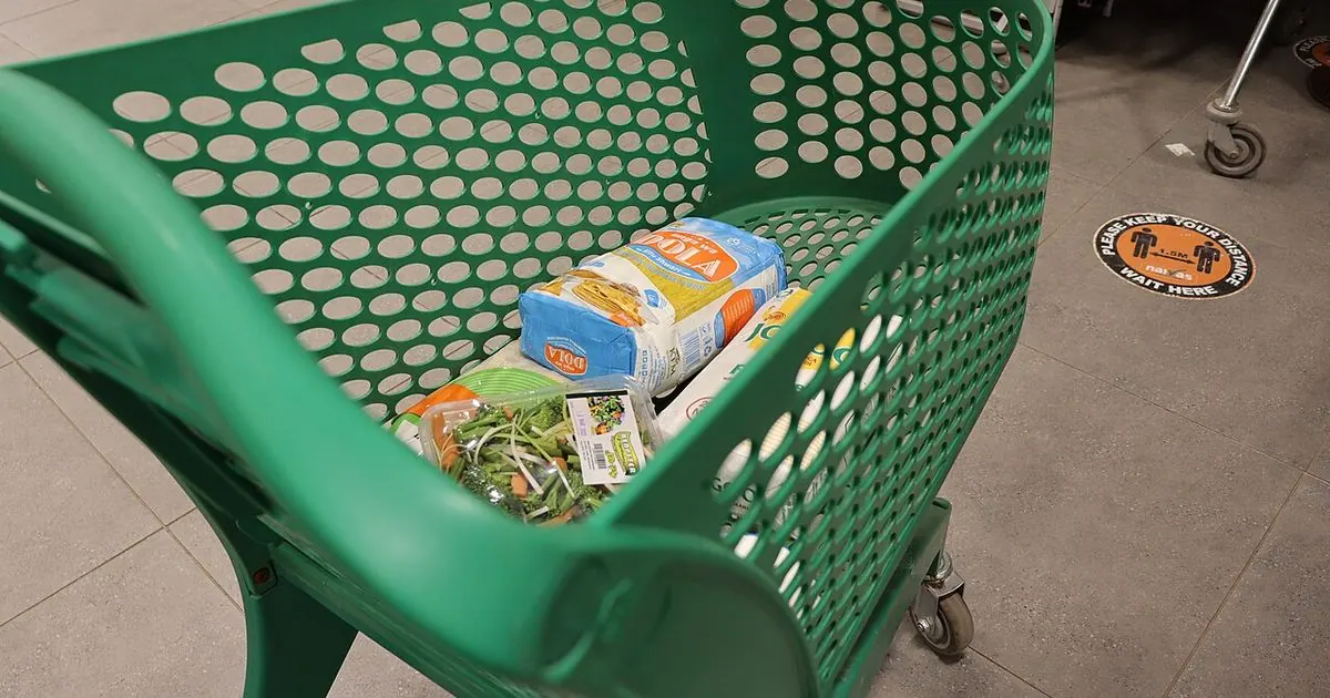 Green supermarket shopping cart holding a few grocery items