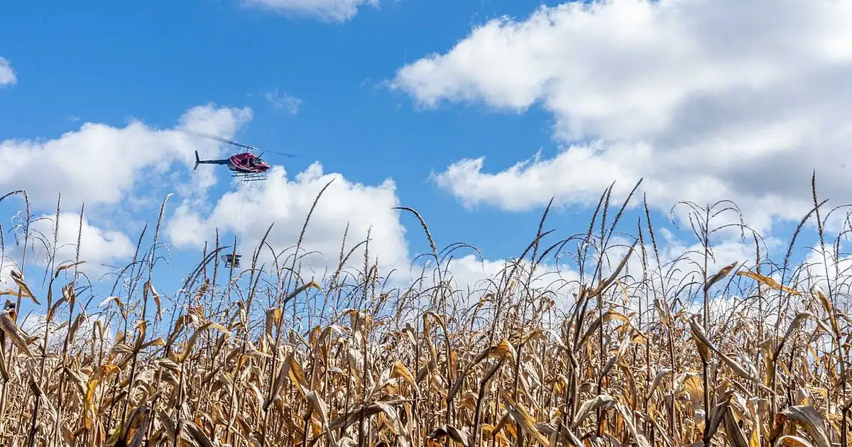 A tractor seeding cover crops across a wide green farm field under a cloudy sky