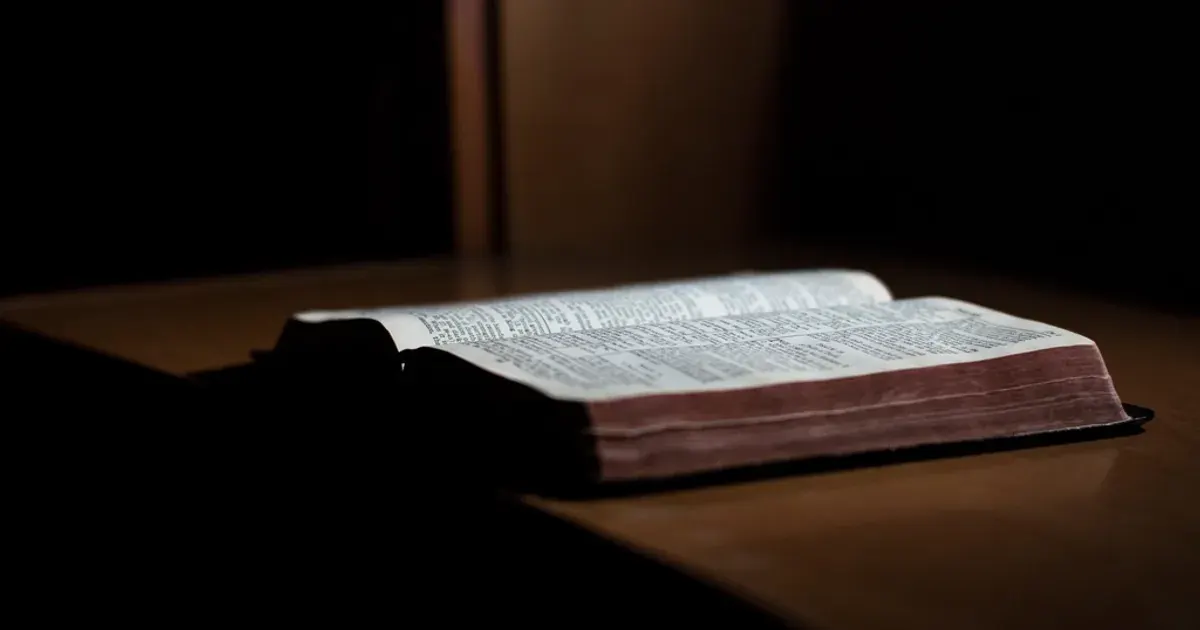 An open book lying on a wooden study desk