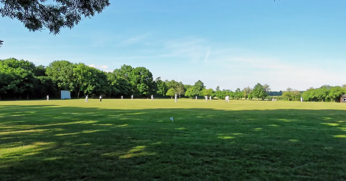 A cricket ground with a prepared pitch