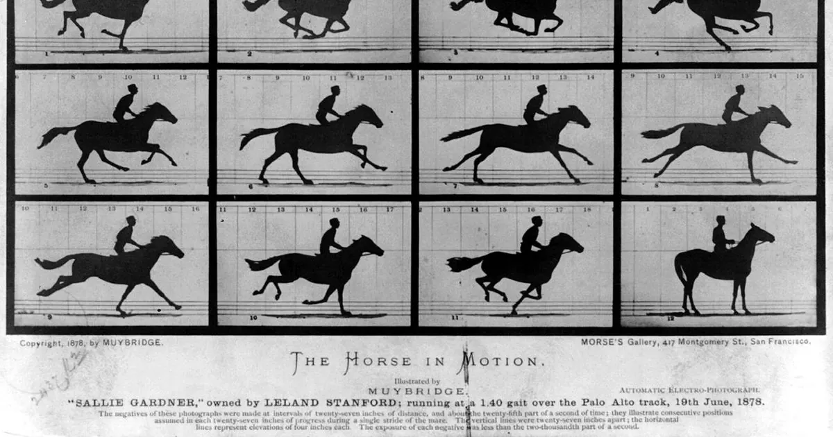 Eadweard Muybridge's 1878 photo sequence The Horse in Motion, showing a galloping horse and rider frame by frame